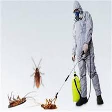 Subterranean termites can nest 20 feet below the ground with a foraging radius of 150 feet. Cockroach Pest Control Service à¤• à¤•à¤° à¤š à¤ª à¤¸ à¤Ÿ à¤• à¤Ÿ à¤° à¤² à¤¸à¤° à¤µ à¤¸ à¤• à¤•à¤° à¤š à¤¸ à¤ª à¤¸ à¤Ÿ à¤• à¤Ÿ à¤° à¤² à¤¸à¤° à¤µ à¤¸ à¤• à¤•à¤° à¤š à¤• à¤Ÿ à¤¨ à¤¯ à¤¤ à¤°à¤£ à¤• à¤¸ à¤µ à¤ In Police Academy Jaipur Paras Bird Control Service