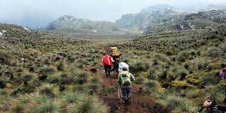 Rwenzori mountains national park rwenzori mountains national park is a ugandan national park and unesco world heritage site located in the rwenzori mountains.almost 1,000 km2 in size, the park has africa 's third highest mountain peak and many waterfalls, lakes, and glaciers. Rwenzori Mountain National Park Drive East Africa