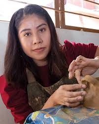 Ceramics — Unpainted Red — Friends of Oaxacan Art