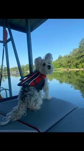 Layton Powell (@lpowell12)