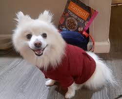 Smokey the Bear shows off hiker's patch