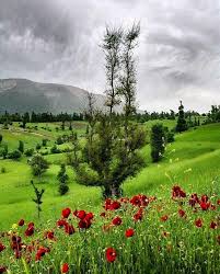 طبیعت زیبای گیلان/ عکس
