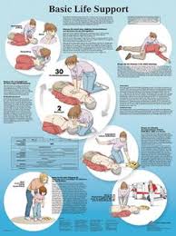 What are basic life support skills? First Aid Basic Life Support Steps The Y Guide