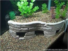 This board is a collection of inspiring planted aquariums and facts about them found across the web. Pin On Tanks Terrariums