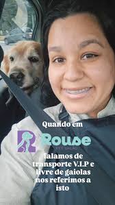 Passageiros VIPs a bordo! 🐶🐱🚙💨, Voltando do seu dia de beleza direto  para o colinho ou uma caminha limpa no conforto e em segurança, sem gaiolas  e o mais importante de tudo felizes 😎🤗😜, Se você também ...