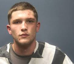 BYRD, JOHN ALBERT Charges: DOMESTIC ASSAULT This information and more is  available at isoms.seviercountytn.org:9000/Jail?hours