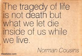 norman cousins quotes - Google Search | Sayings | Pinterest via Relatably.com