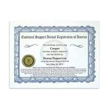 We did not find results for: Buy Genuine Esa Evaluation Letters Online Esara Emotional Support Animal Emotional Support Supportive