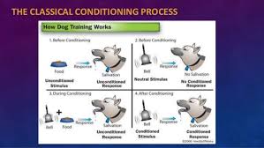 Whats Is Learning In Psychology