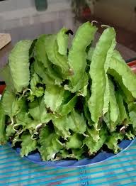 Parapagulong kung ito'y aming tawagin, ano po sa inyo?