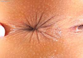 Ultra Hi-Res perfect bleached asshole Porn Pic - EPORNER