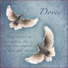 Doves are a very complex symbol. Christian Symbols Christian Symbols Love Symbols Spirit Animal Meaning