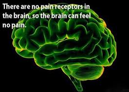Pin On Funny Facts