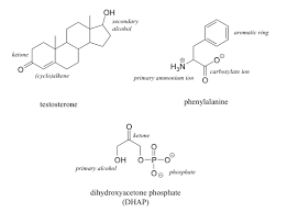 10 2 Functional Groups Chem 1114 Introduction To Chemistry