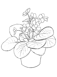 I see the color purple coloring page. Printable African Violet Coloring Page For Both Aldults And Kids