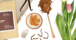 Mushroom Coffee Rezepte Fur Den Pilz Kaffee Terra Elements Pilze Rezepte Kaffee