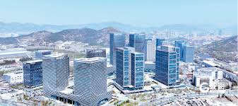 青报经济述评| 逐浪“一人公司”，青岛机会何在