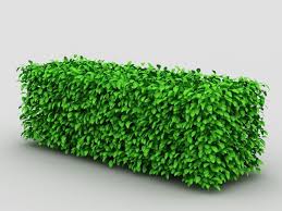 Box Hedge Topiary 3d Model 3ds Max Files Free Download Modeling 41713 On Cadnav Hedges 3d Model Box Hedging