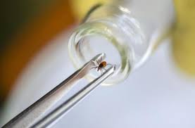 Les tests qui font tiquer les autorités sanitaires. Maladie De Lyme Chronique 59 Patients Denoncent Des Conflits D Interet Qui Sont Generaux