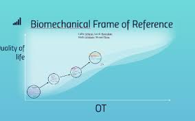 Biomechanical Frame Of Reference By Callie Schena On Prezi