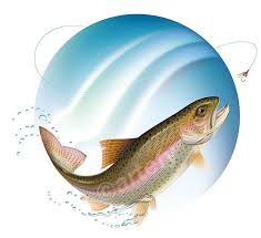 Find the latest sports news and articles on the nfl, mlb, nba, nhl, ncaa college football, ncaa college basketball and more at abc news. Drawing Of A Jumping Trout On Behance