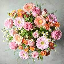 Maybe you would like to learn more about one of these? All Flowers Plants Waitrose Florist