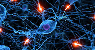 It is caused by a loss of dopamine producing cells in the brain. Was Ist Parkinson Krankheitsbild Ursachen Lewybody Psp Msa Cbd Diagnose