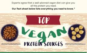 A Vegan Protein Sources Chart Vegetarian Recipes