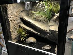 Pin On Grosse Terrarien Ideen