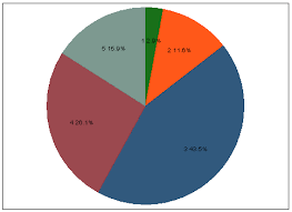 Pie Chart With Labels And Percantage Together On Slice Statalist