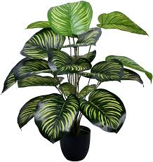 You can find pretty much any plant you can think of online, and many retailers offer their plants and delivery. Buy Yatai Nearly Natural Green Apple Artificial Plant 70cm High Artificial Tree Online Shop Home Garden On Carrefour Uae