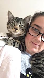 My baby got out and he's a I door cat his name is Simba and he's been  missing for 3 days crossroads lancster and ward NE Salem and he's really  friendly