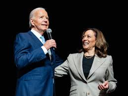 Image result for Bidens diversa