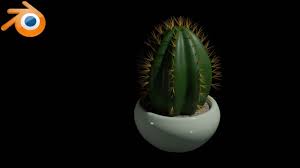 To model your cactus i suggest you start by drawing your cactus on a paper or download a picture from. Modeling The Cactus In Blender 177 Youtube