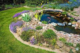 A few things to consider | next day koi. What Is A Koi Pond And How To Build Your Own Best Setup Ideas Fishkeeping World