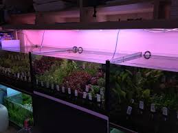 Nevzatbey i̇ş merkezi nerede ? Aqua Botanic