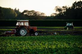 On the remaining 2 acres, he grows tree seedlings and grafted trees in a backyard nursery, his most profitable plants. 21 Profitable Small Farm Business Ideas 2021 Fincyte
