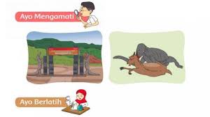 Check spelling or type a new query. Kunci Jawaban Tema 5 Kelas 2 Halaman 188 189 190 191 192 Pengalamanku Di Tempat Wisata Subtema 4 Tribun Pontianak