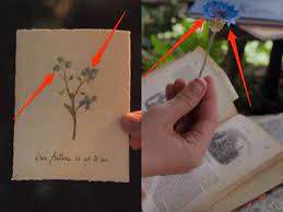 In enola holmes, enola states that iris. Enola Holmes Hidden Details And References You Probably Missed
