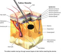Unfollow tattoo foot switch pedal to stop getting updates on your ebay feed. Tattoo Machines Work A Very Basic Overview