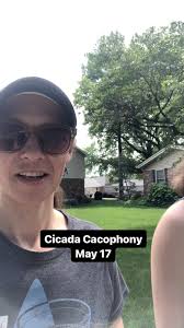 #cicadas #cicada #stlouis