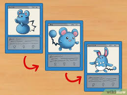 You can look at this in two ways, and both are equally valid. 6 Ways To Organize Pokemon Cards Wikihow