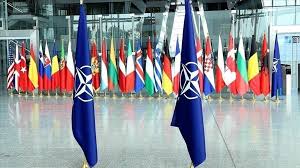Its purpose is to enforce peace treaties in the north atlantic and to use military force against violators of those treaties or of human rights. Turkey Remains As Indispensable Member Of Nato For 69 Years