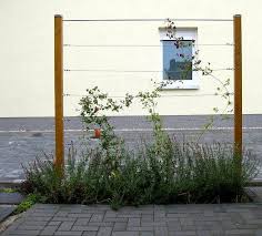 Von Pfosten Zu Pfosten Gespannte Seile Analog Zu Sondersystem 0040 Oben Ein Metallrohr Als Druckst Sichtschutz Garten Holz Sichtschutz Pflanzen Gartenspaliere