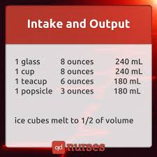 Intake And Output Chart Sada Margarethaydon Com