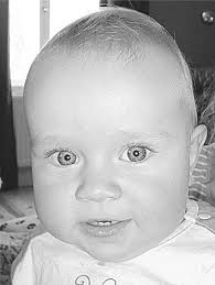 Åland får strategi mot hotande klimatkatastrof