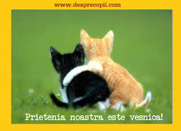 Mesaje cu gânduri frumoase pentru prieteni. Desprecopii Com Felicitari Prietenie