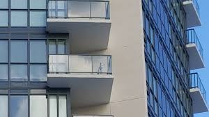 It offers an elliptical handrail above and utilizes 21.5mm of toughened clear glass. Neighbours Save Dog Left To Freeze Outside On Liberty Village Balcony Citynews Toronto