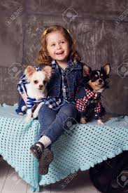 Ver más ideas sobre perros, perros bonitos, perros cachorros. El Bebe Bonito Es La Celebracion De Dos Amigos Lindos Perros Pequenos Chuhuahua Fotos Retratos Imagenes Y Fotografia De Archivo Libres De Derecho Image 55655020