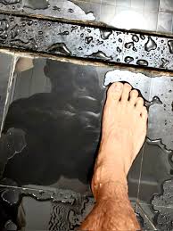 柴明BlackieLan @Mingbao12151 - Twitter Profile | Sotwe